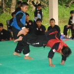 silat-5